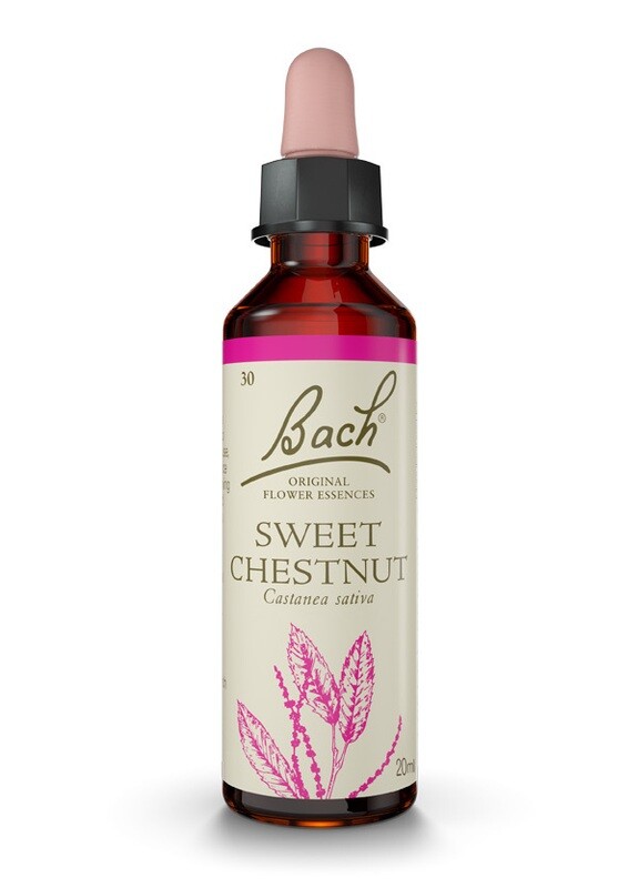 SWEET CHESTNUT (CASTAÑO DULCE) - DESALIENTO - FLORES DE BACH