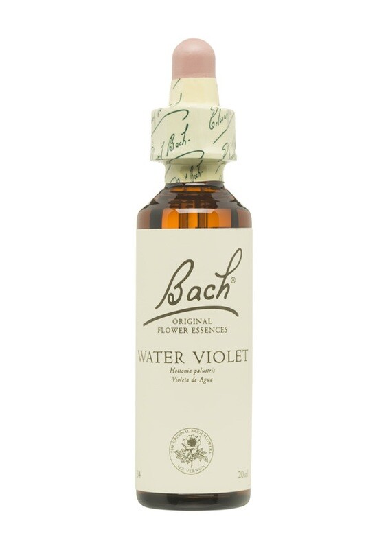 WATER VIOLET (VIOLETA DE AGUA) - SOLEDAD - FLORES DE BACH