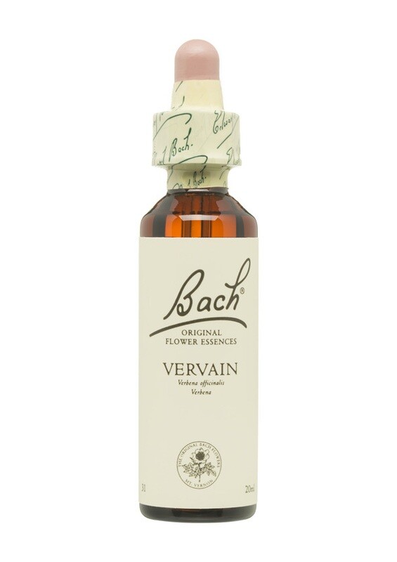 VERVAIN (VERBENA) - FLORES DE BACH