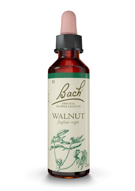 WALNUT (NOGAL) - HIPERSENSIBILIDAD - FLORES DE BACH
