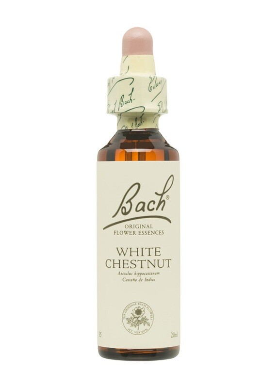 WHITE CHESTNUT (CASTAÑO DE INDIAS) - FLORES DE BACH