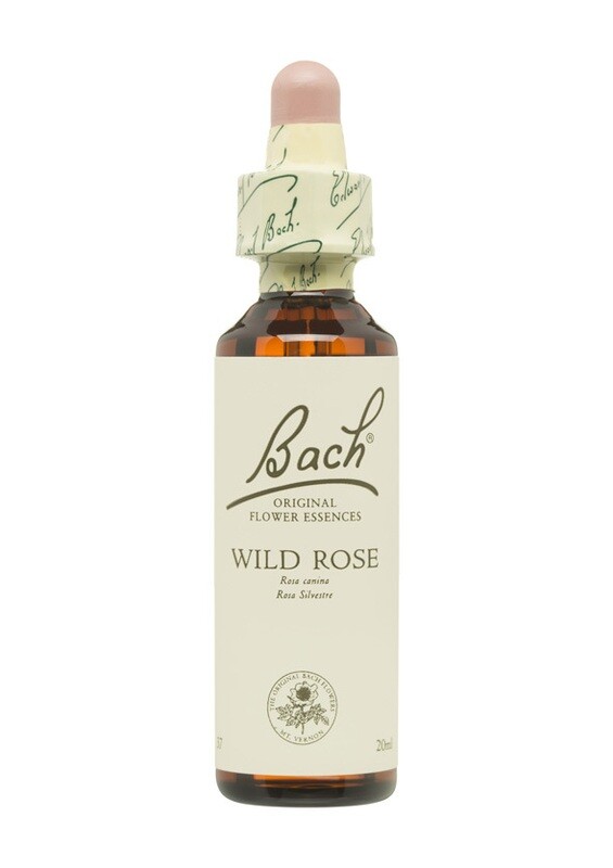 WILD ROSE (ROSA SILVESTRE) - HIPERSENSIBILIDAD - FLORES DE BACH