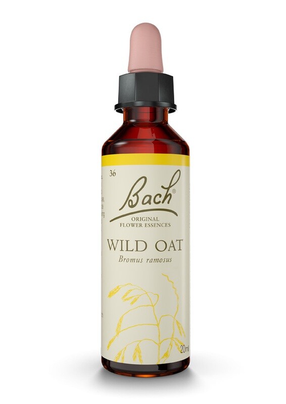 WILD OAT (AVENA SILVESTRE) - INCERTIDUMBRE - FLORES DE BACH