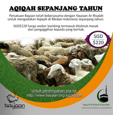 Medan Goat for Aqiqah Only (all year round) Medan Goat for Aqiqah Only (all year round)