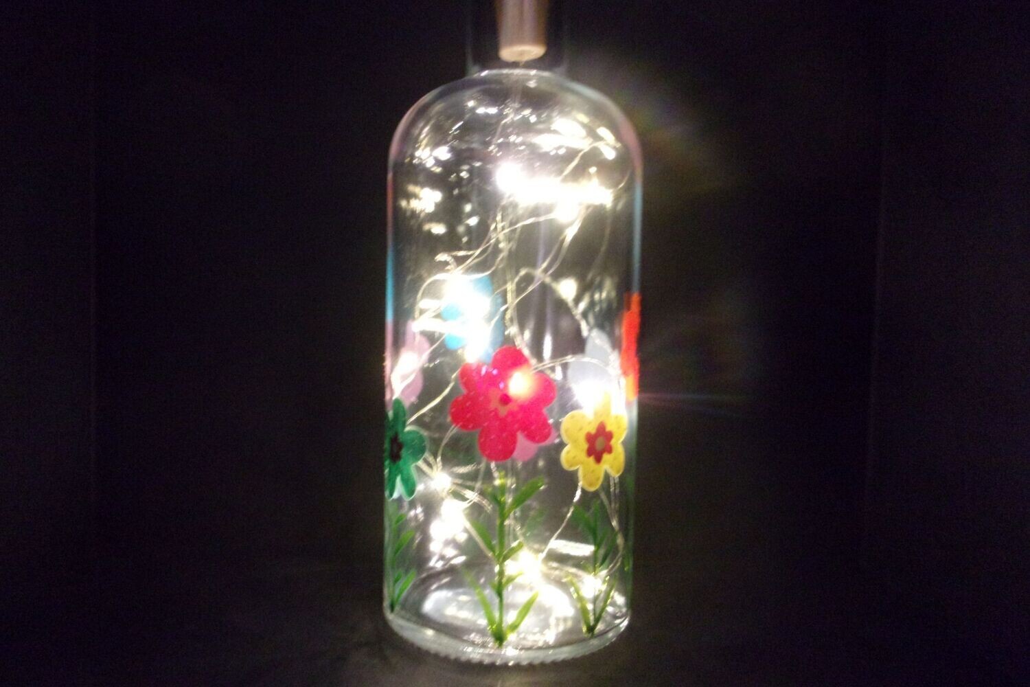 Bouteille Lumière 20231009 (195)