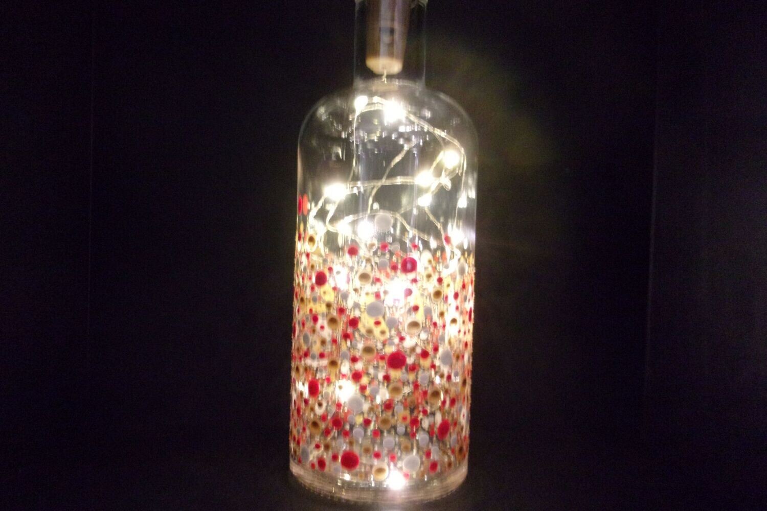 Bouteille Lumière 20231009 (197)