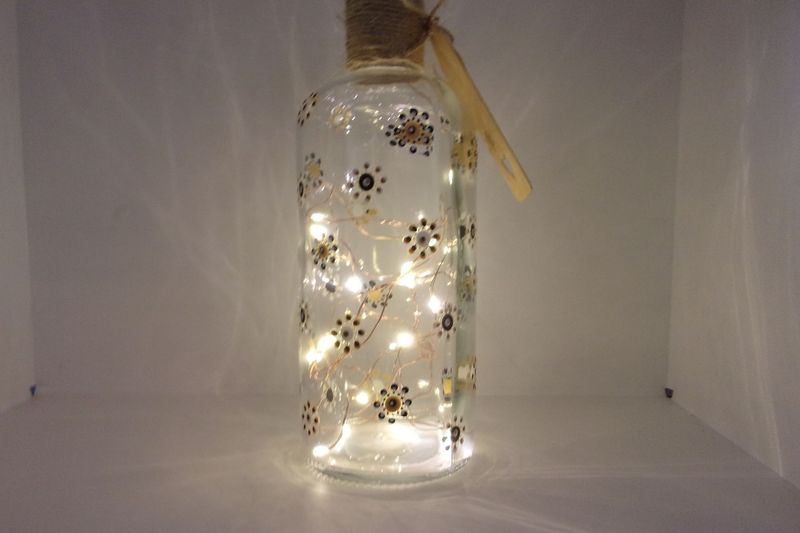 Bouteille Lumière 20241109 (74)