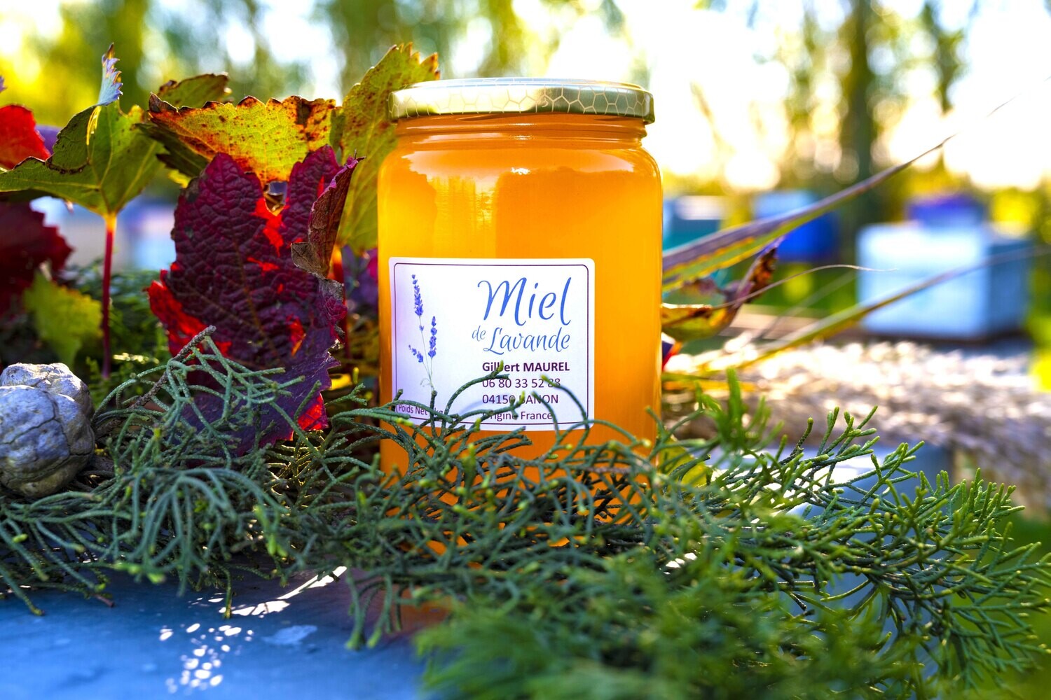 Miel de Lavande - 1 KG