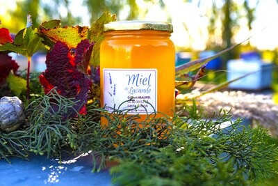 Miel de Lavande - 1 KG