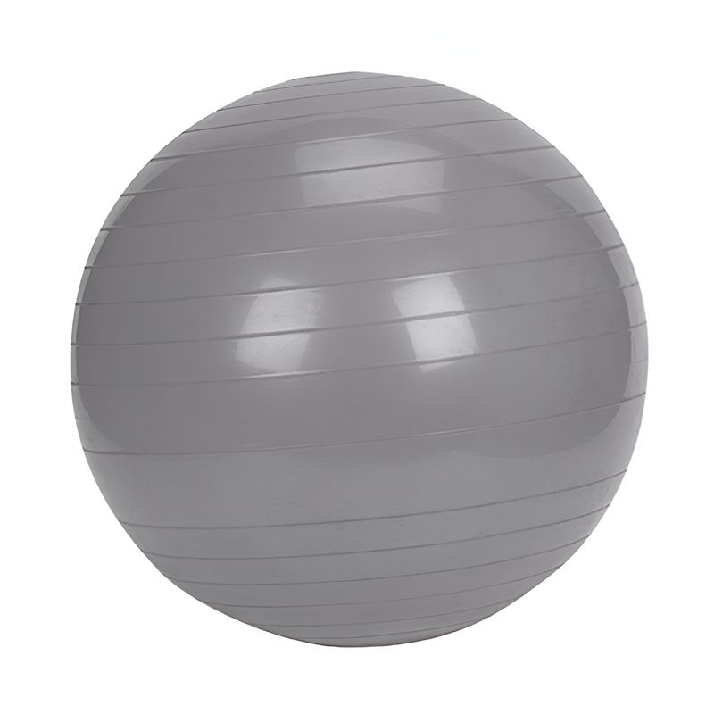 Fitball Pelota Fitness Yoga Pilates Resistente - 55-75cm Gris Fitball Pelota Fitness Yoga Pilates Resistente - 55-75cm Gris
