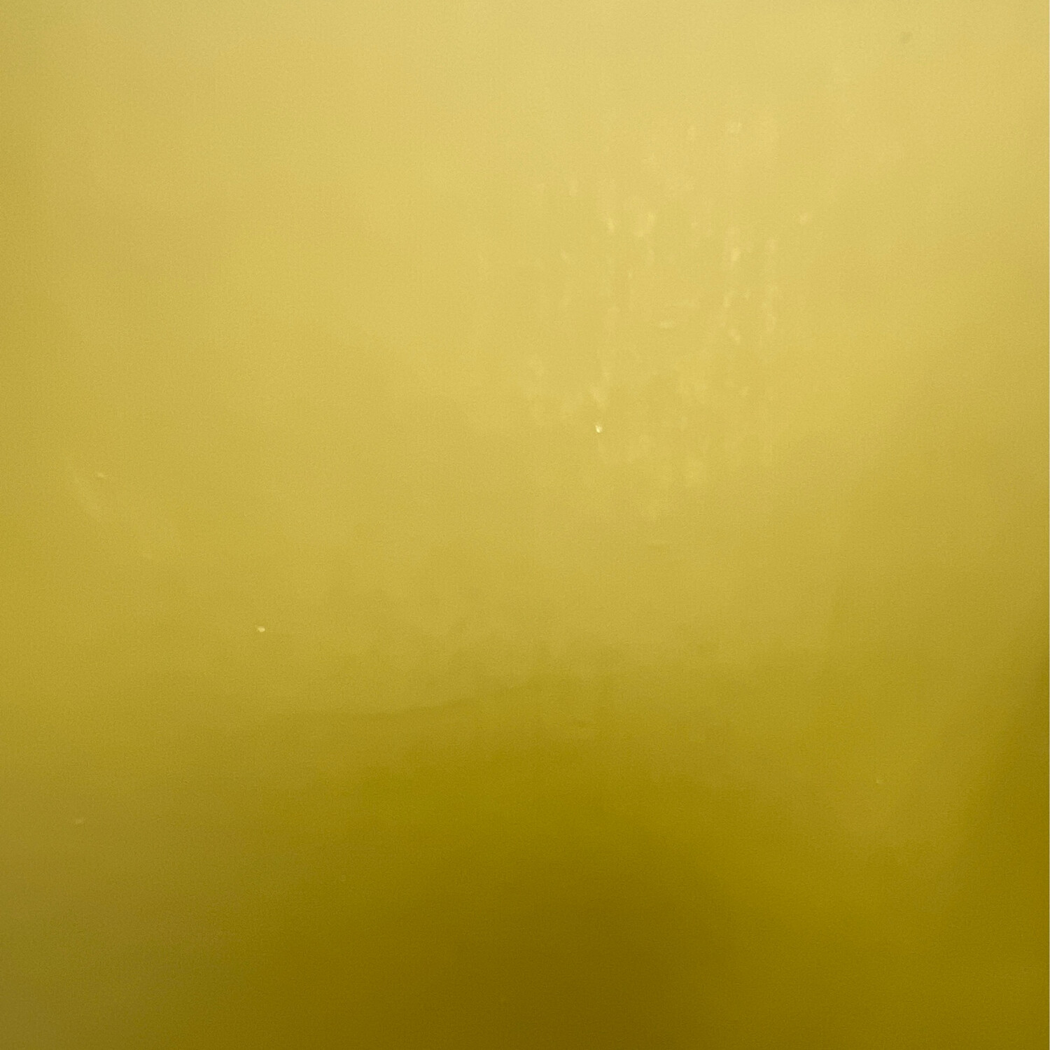 Wachsplatte LINDGRÜN 200 x 100 mm