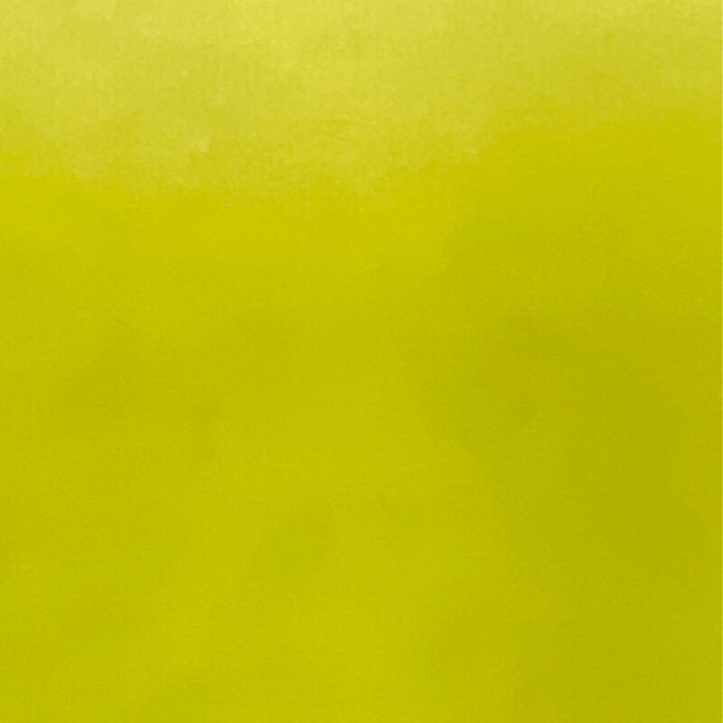 Wachsplatte KIWI 200 x 100 mm