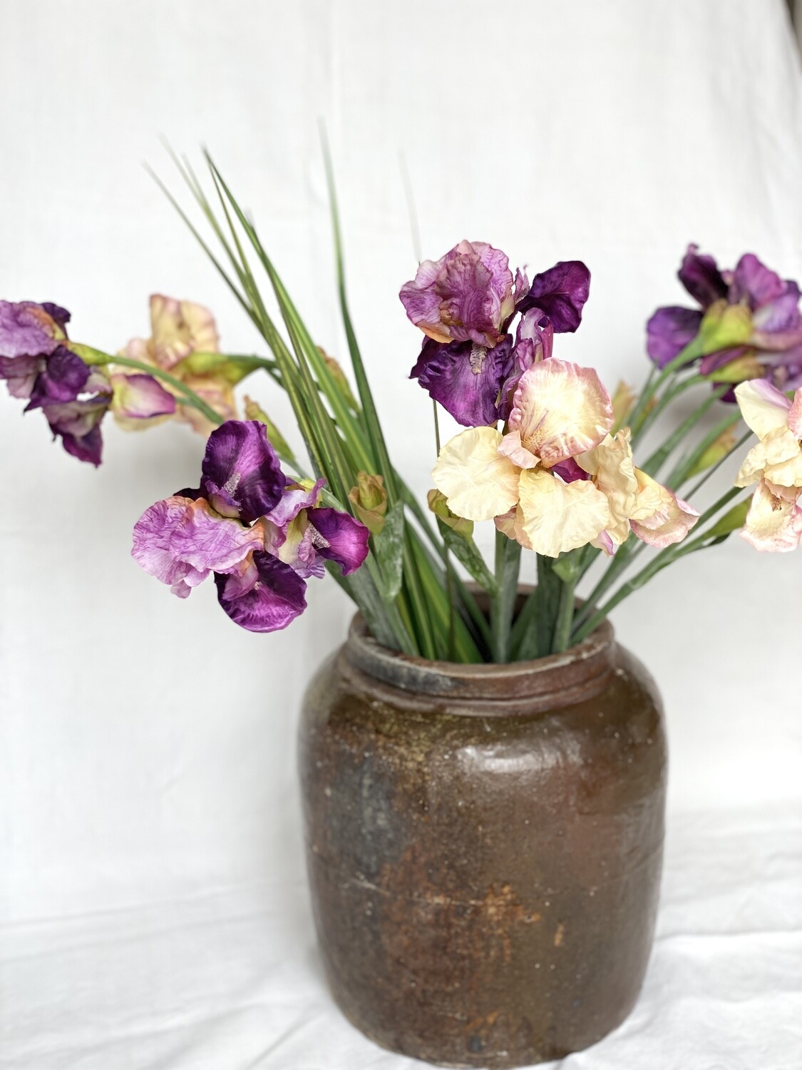 Iris crème  - fleur artificielle