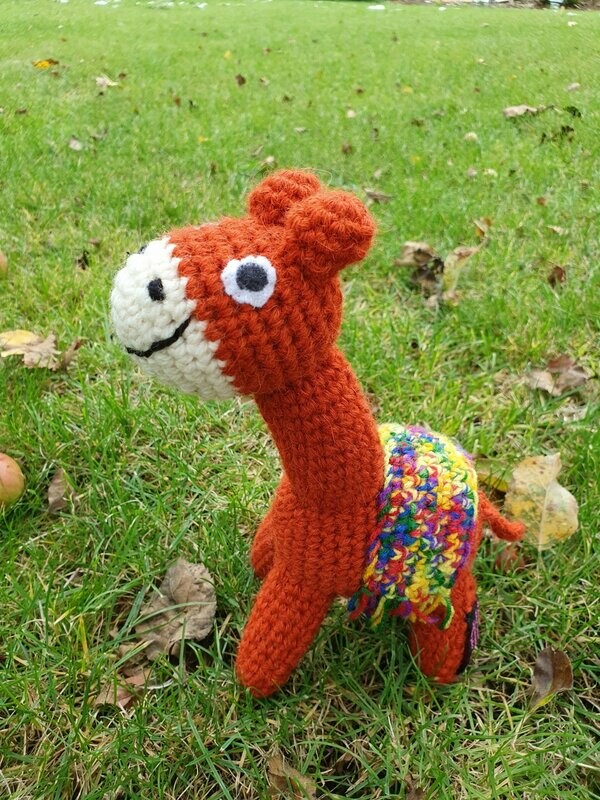 Lama in verschiedenen Ausführungen