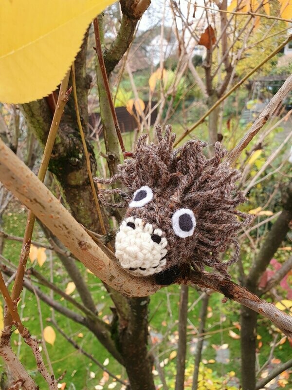 Igel in verschiedenen Farben