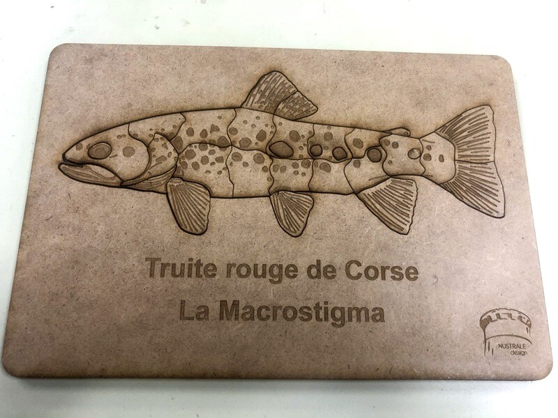 Puzzle truite Nustrale Macrostigma