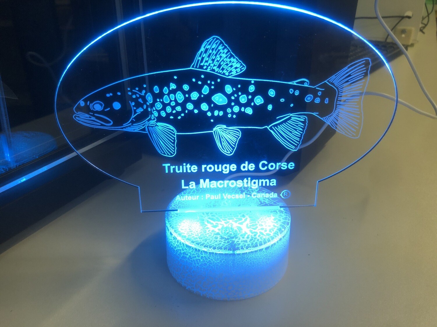 Lampe truite de Corse