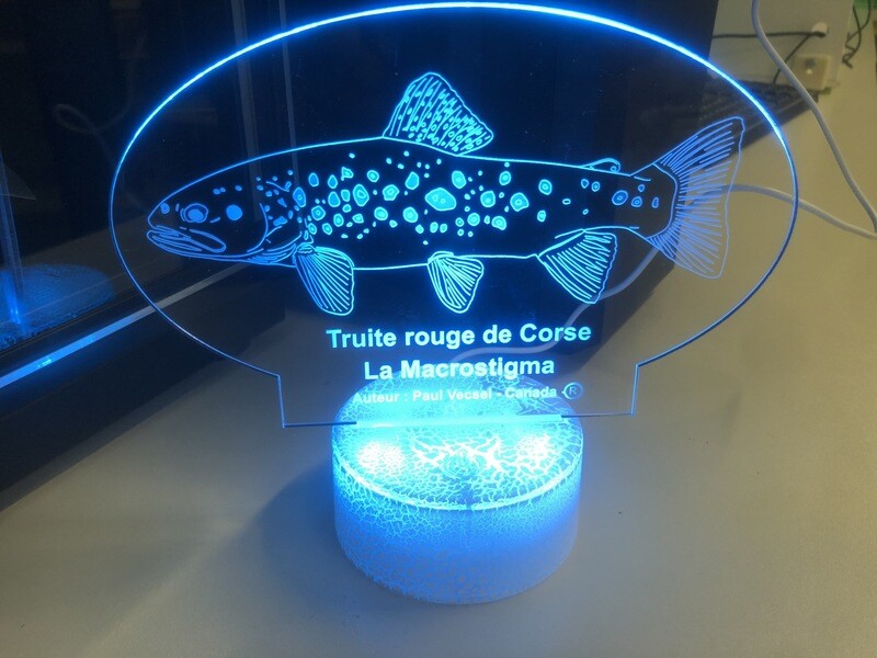 Lampe truite de Corse