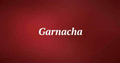 Garnacha