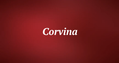 Corvina