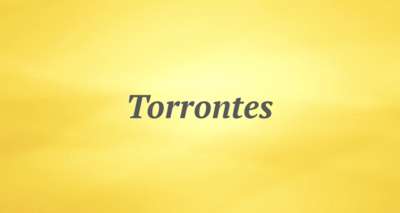 Torrontes
