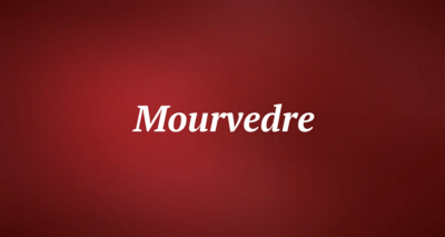 Mourvedre