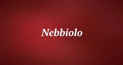 Nebbiolo