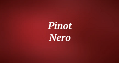 Pinot Nero