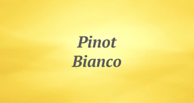 Pinot Bianco