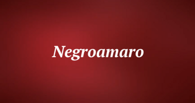 Negroamaro