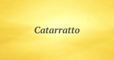 Catarratto
