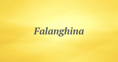 Falanghina