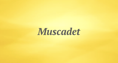 Muscadet