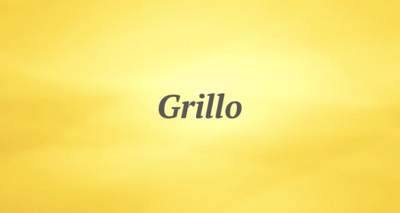 Grillo