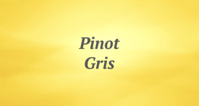 Pinot Gris