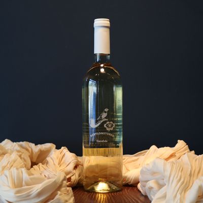 White Blend - Babylonstoren, Candide (South Africa)