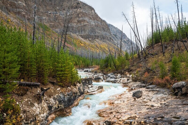 Alberta