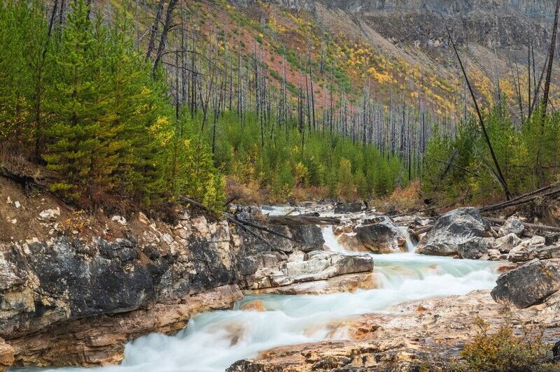 Alberta