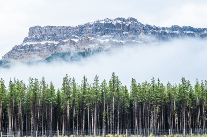 Alberta
