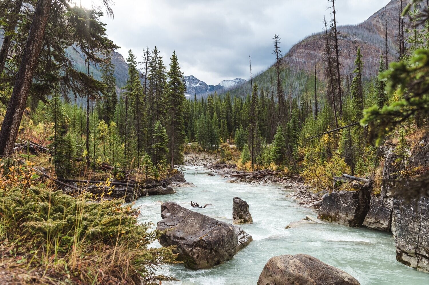Alberta