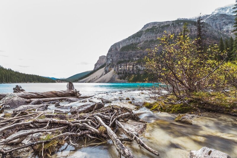 Alberta