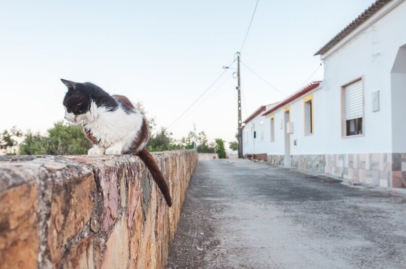 Portugal