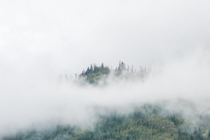 Alaska