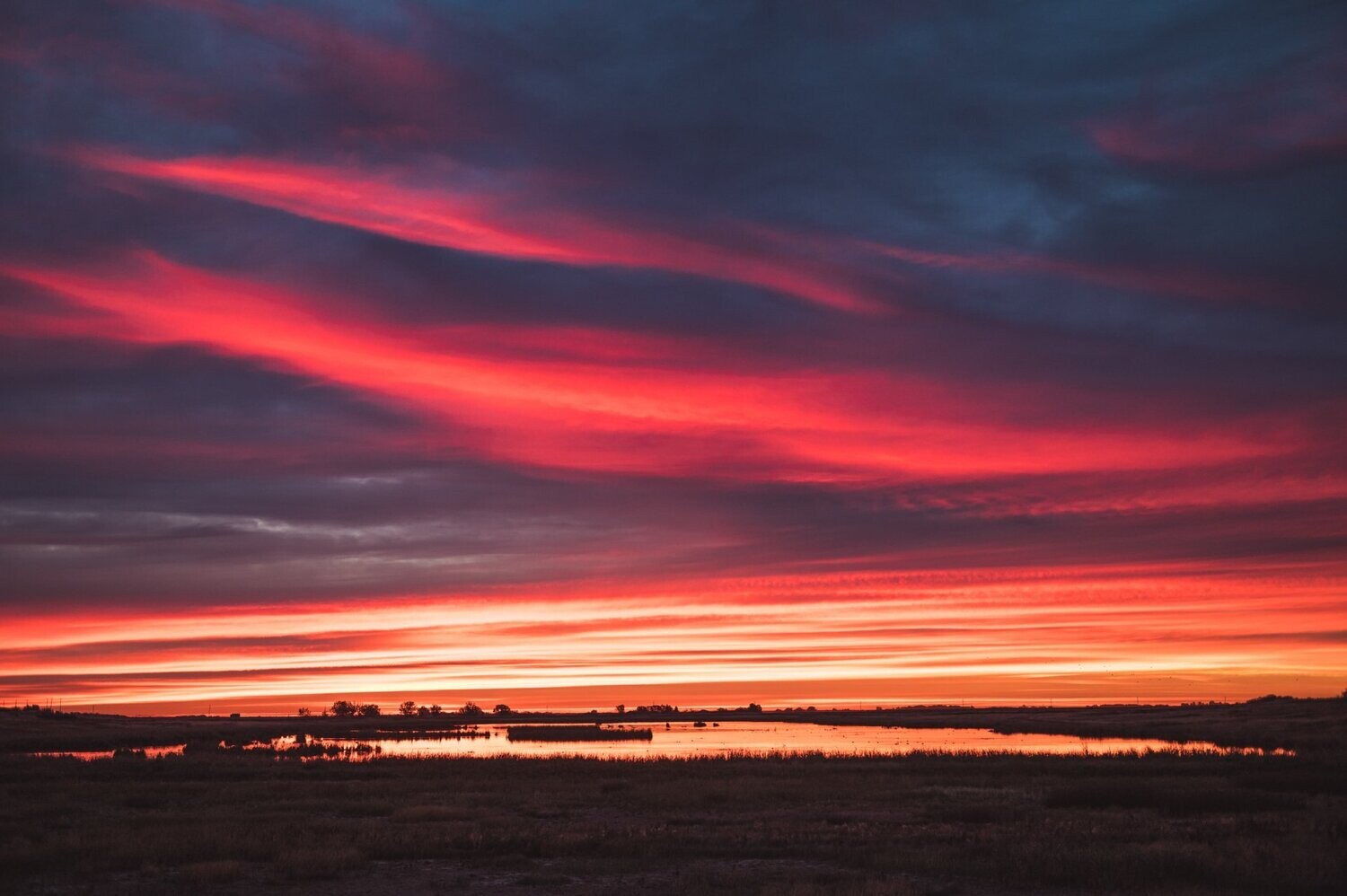 Alberta