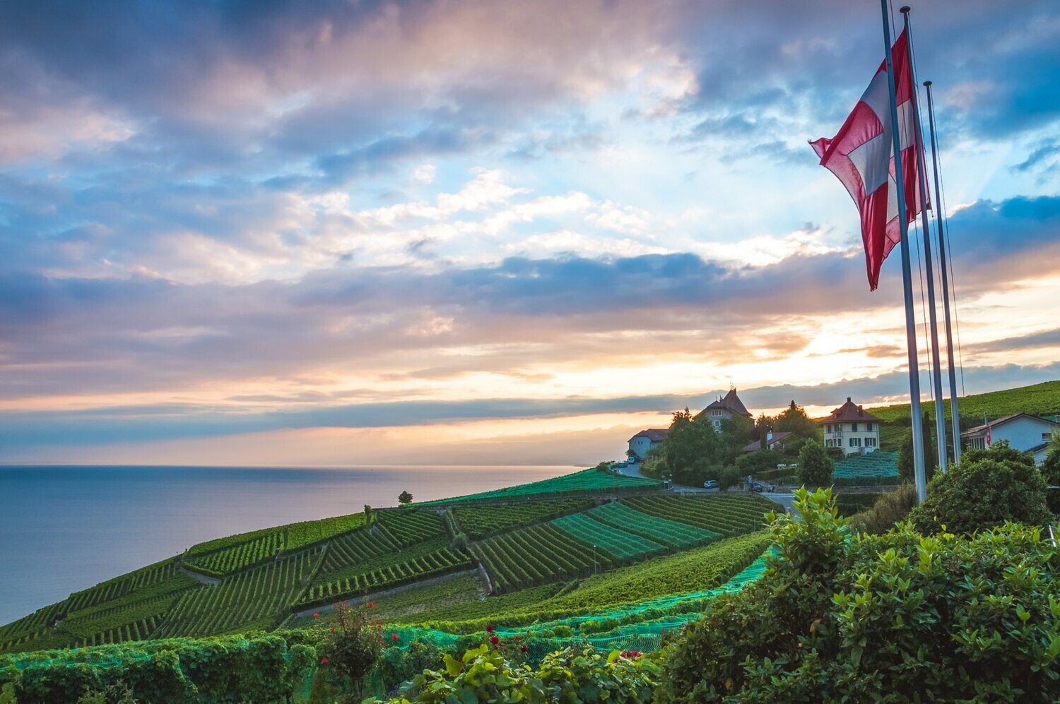 Suisse