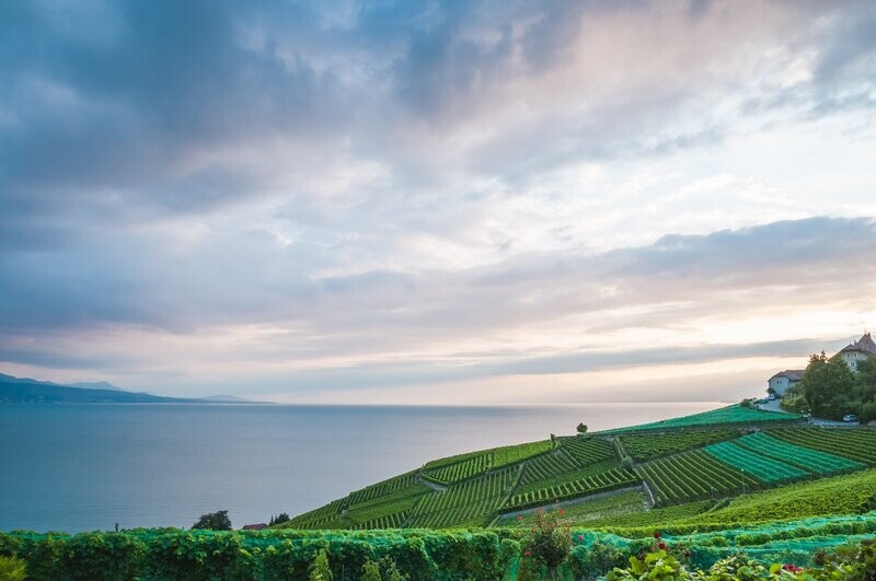 Suisse
