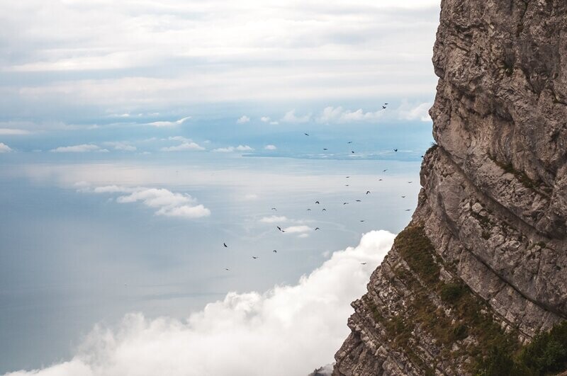 Suisse