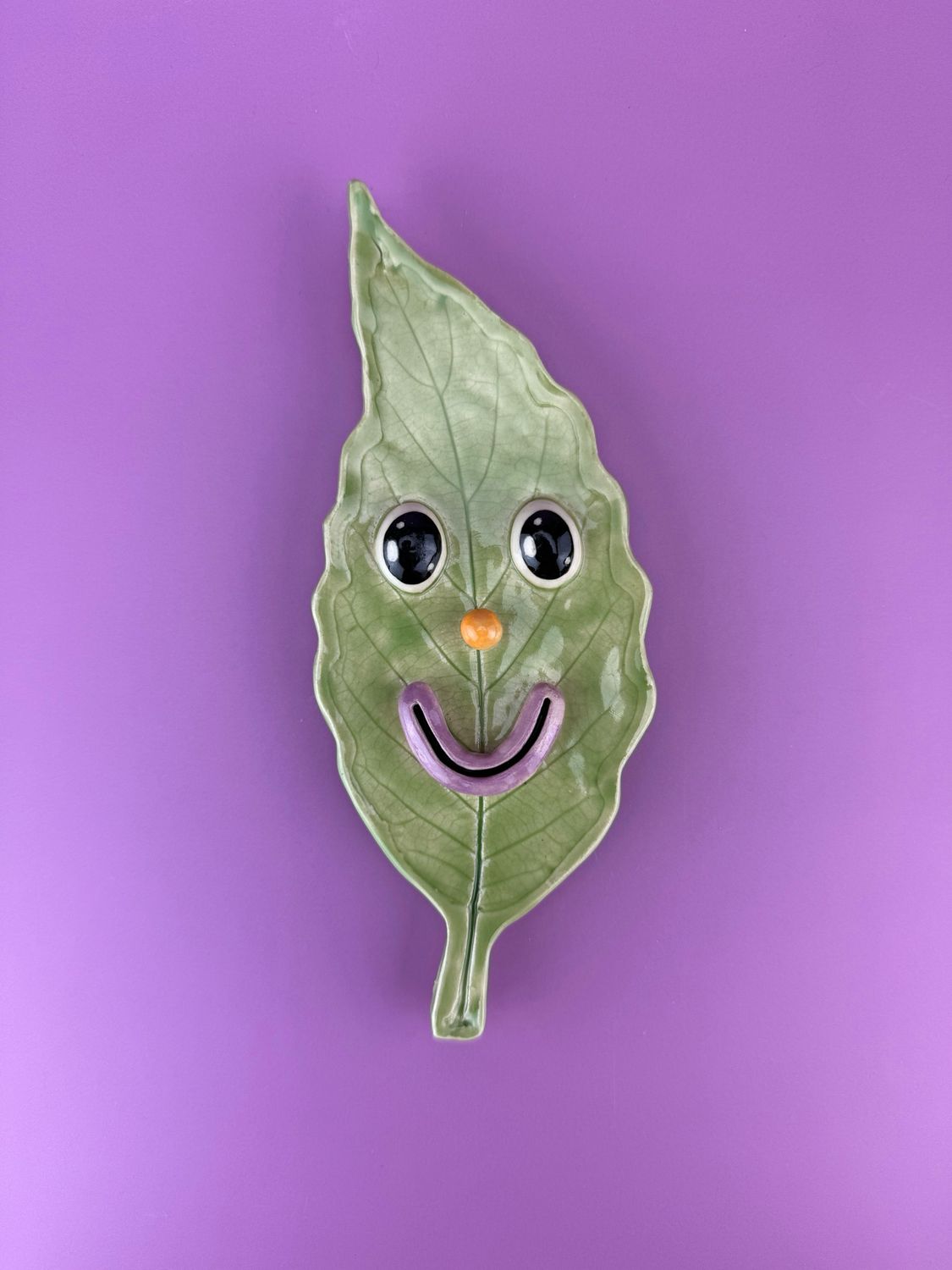 Leaf Buddy 1