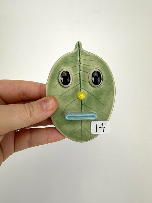 Leaf Buddy 14