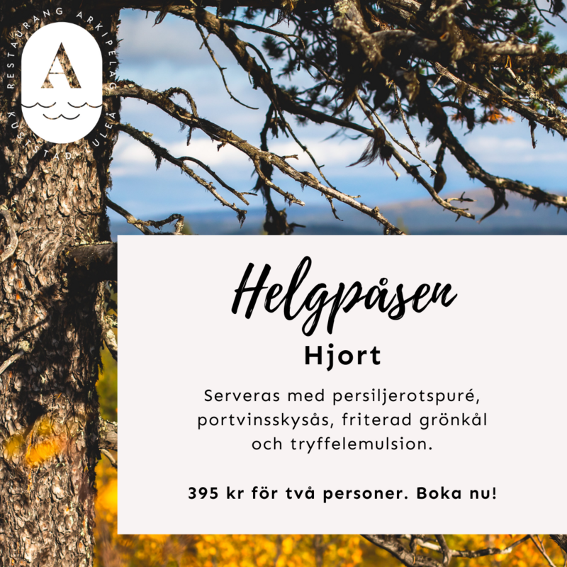 Helgpåsen 8/12 - Hjort